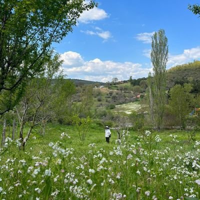 esra_cnvg's profile picture. 𐱅𐰇𐰼𐰚