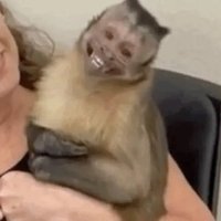 gatita comunista (@_venusenleo_) 's Twitter Profile
