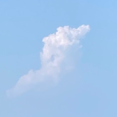 Nagatoさんのプロフィール画像