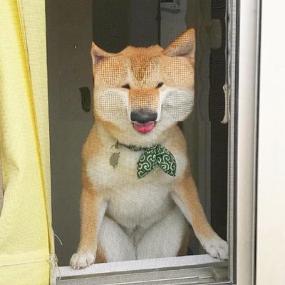 メンズエステにハマってしまった20代サラリーマン　メンエスと同じくらい柴犬が好き