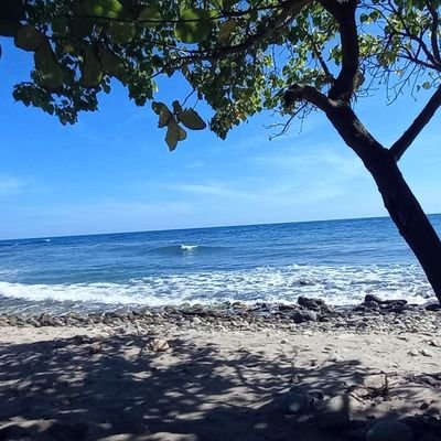 RoisRuiz12's profile picture. 