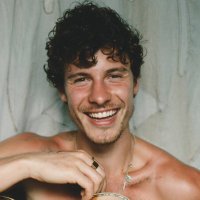 Shawn Mendes Fans (@shawnmendesfans) 's Twitter Profile