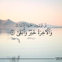 ذِكْرى (@falox16) 's Twitter Profile Photo