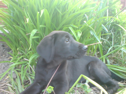 s77eew's profile picture. 