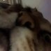 PL_Grof (@pl_grof) Twitter profile photo PL_Grof (@pl_grof) Twitter profile photo