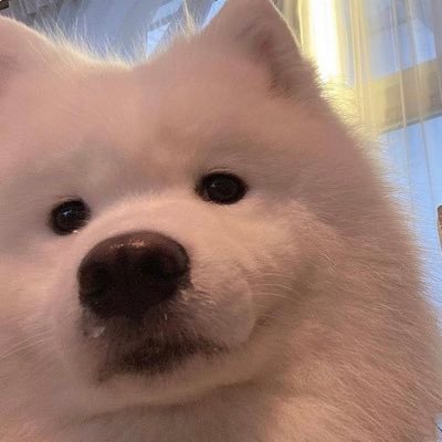 realvibekillers's profile picture. 구독하게해주세요제발요얌전히구독만할게요