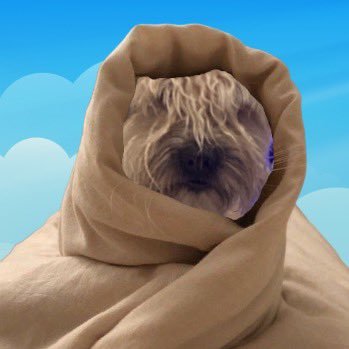 Sapoxxx6969's profile picture. Musician and composer $GM