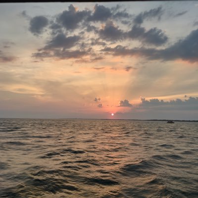 nunya_army's profile picture. 