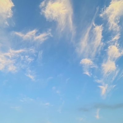 aie1128630's profile picture. 