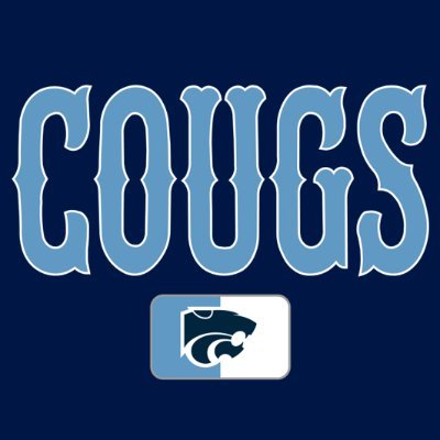 Centennial HS Baseball Profile