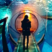 Re:スガリ☽ Chocobo (@xxx4plus) Twitter profile photo