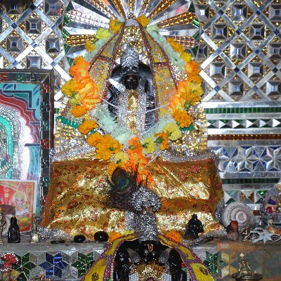 pati82967's profile picture. प्रकृति प्रेमी, संविधान  समानता स्वतंत्रता समर्थक,