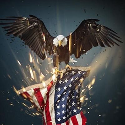 #RavensFlock,
#MAGA,
#FREEDOM!!
I'M YOUR HUCKLEBERRY
Tell them the North remembers,
Tell them winter came for house Frey
