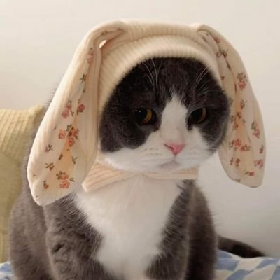 Mameask's profile picture. Because of you..Cherprang 🐱 #チャープラン  :: #CherprangAreekul  :: #CC_Cherprang 😽 
วัน ๆ ไม่ทำอะไรส่องแต่แมวกับอวยเฌอปราง 🐈😼