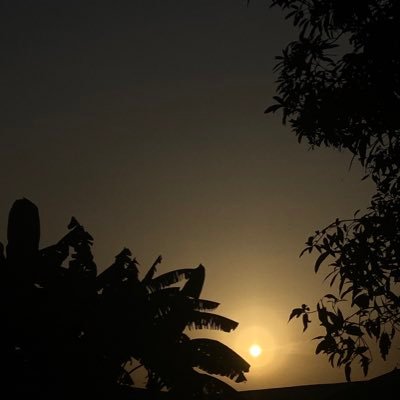 Budu____'s profile picture. || Phone photographs 📍|| if you can think it I can build it!!!