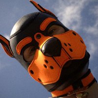 Vulps (@pupvulps) 's Twitter Profile