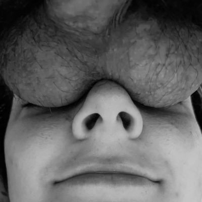 Rodrigo30504509's profile picture. 