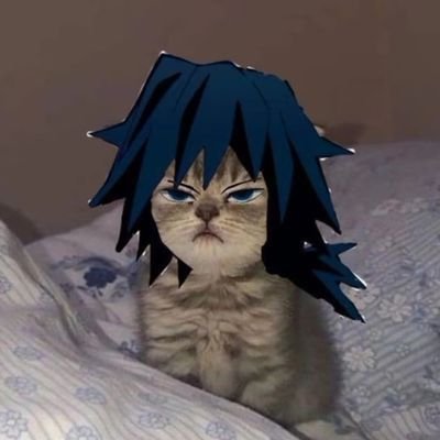 AnibascrazCruz's profile picture. She/He