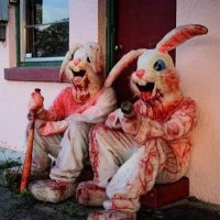 Nikki Bondoni (@nikkibon) 's Twitter Profile