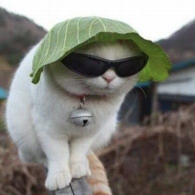 joel13213231231's profile picture. 