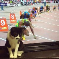 yusuf (@spor_olsun_diye) Twitter profile photo