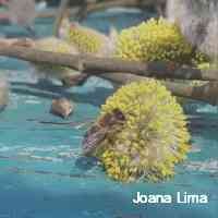 limajoanaa66's profile picture. 𝐋𝐈𝐅𝐄𝐒𝐓𝐘𝐋𝐄 | 𝐺𝑌𝑀| 𝑴𝑨𝑲𝑬𝑼𝑷 
https://t.co/MQKsU7lTxo 
Tik tok makeup.xuxa
📍𝐖𝐑𝐎𝐂𝐋̷𝐀𝐖
📩𝐙𝐮𝐳𝐚𝐧𝐧𝐚.𝐊𝐨𝐛𝐚.𝟏𝐚𝐠𝐦𝐚𝐢𝐥.𝐜𝐨𝐦