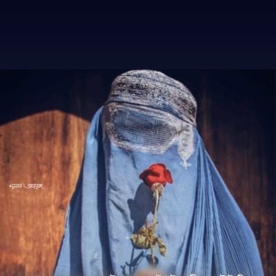 BashirShoa74258's profile picture. A professional cover photo