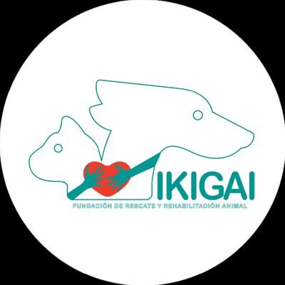 ☛ Adopta no Compres - Esteriliza
❤ Rescatar - Rehabilitar - Reinsertar
$ tu aporte es lo MAS importante
ꕥ MI IKIGAI Salvar vidas - Dar 2das oportunidades.