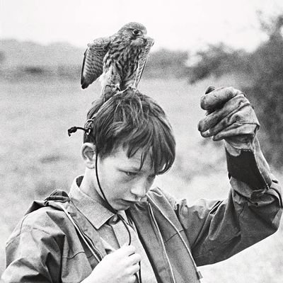 sercansahin94's profile picture. mundus senescit..