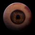 Cursed Eyes (@cursedeyes_pl) Twitter profile photo Cursed Eyes (@cursedeyes_pl) Twitter profile photo