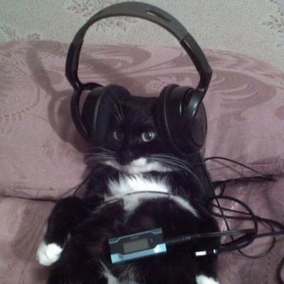 ana00460's profile picture. @atletico