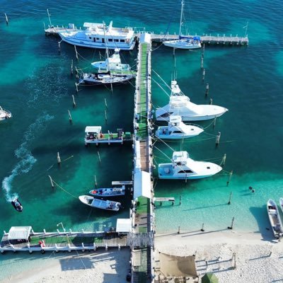 Passionate about fishing 🎣, golf ⛳️, & hockey 🏒| Investing 💰