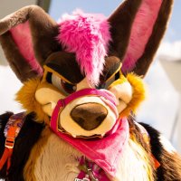 Kamira Kawauso (@kamiraapawss) 's Twitter Profile Photo Kamira Kawauso (@kamiraapawss) 's Twitter Profile Photo