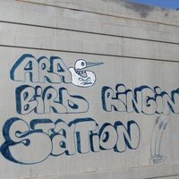 arasbirdstation (@arasbirdstation) 's Twitter Profile