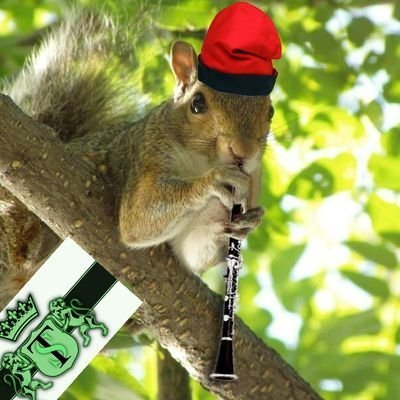 attlid's profile picture. We are what we eat: I drink milk coffee therefore I'm always latte ☕

- Marc Aureli, segurament