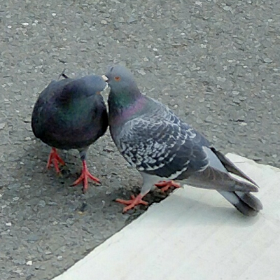 penpen5ster's profile picture. 日向坂・櫻坂・乃木坂のファンです。 
その他写真などもまったりあげていく予定です。