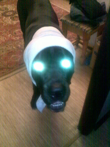 KostyaMuromskiy's profile picture. Сын @OlgaMuromskaya