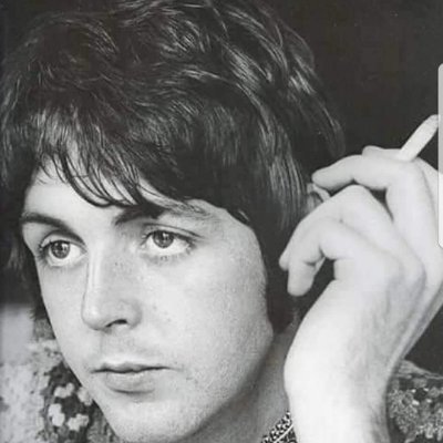 modestanc39143's profile picture. 