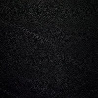 Dumb Niqqa🦅 (@rohandennis) 's Twitter Profile