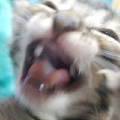 kimsssak's profile picture. 