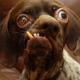 grama21B's profile picture. | AI Enthusiast 🚀| Gaming Geek 🎮 | Memelord 😄 | Navigating the Crypto Cosmos 🌌 | #CryptoAdventures