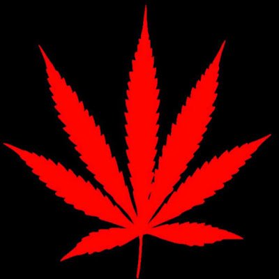 feelgood80143's profile picture. If you’re real, you’ll add me. High society sleepers “all about the weed" can’t comprehend, the info’$ So old…😴, Smoke weed!!!👑⏰😶‍🌫️