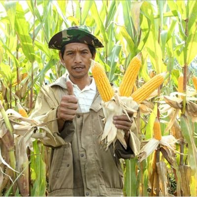 GuyakeMalli's profile picture. Petani jagung dan pencari rezeki halal. 🌽🌽🌽

semoga bisa berhasil ya. salam kenal ya.