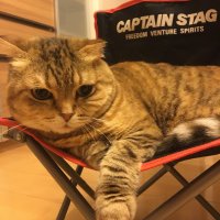 もじじ@読書垢 (@mojiji_novel) 's Twitter Profile Photo