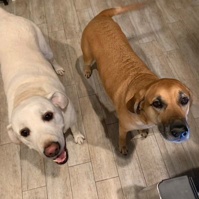 traintw68's profile picture. I’m just me, only thing I know how to do without thinking