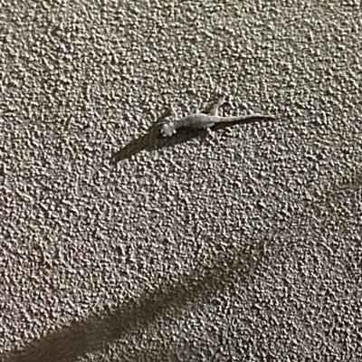 命日。さんのプロフィール画像