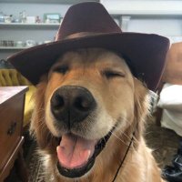 França (@drikz23) 's Twitter Profile