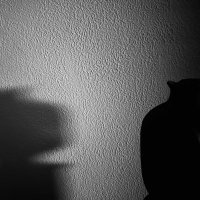 ۞cododetenista۞ (@cododetenista) 's Twitter Profile Photo