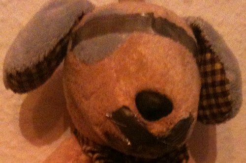 KnutKnutsen4's profile picture. I am a little stuffed animal dog and I need 1000000 euro to be rescued. please look at my Hompage. and make an donation