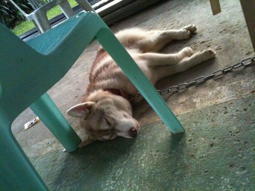 Gene_JPN's profile picture. I'm a university student.(Management)